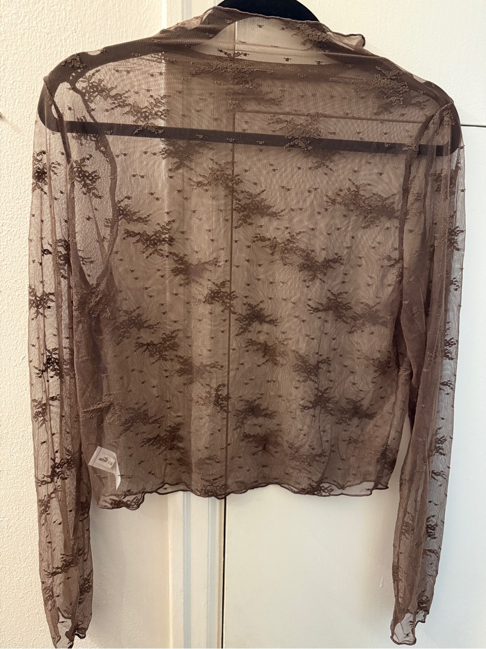 Aerie Brown Sheer Floral Mesh Lace Boat Neck Long Sleeve